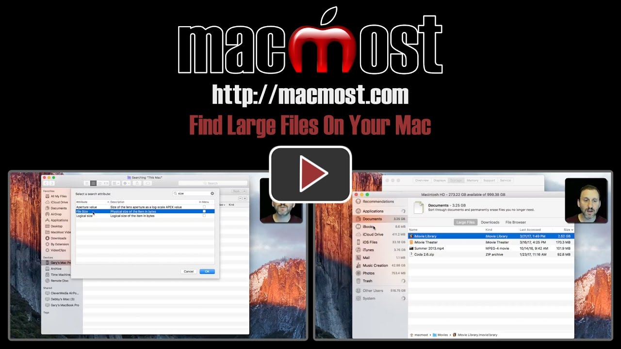 look for large files mac